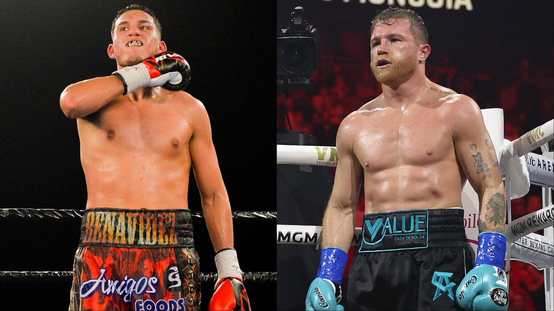 Canelo Alvarez offered title shot at 175